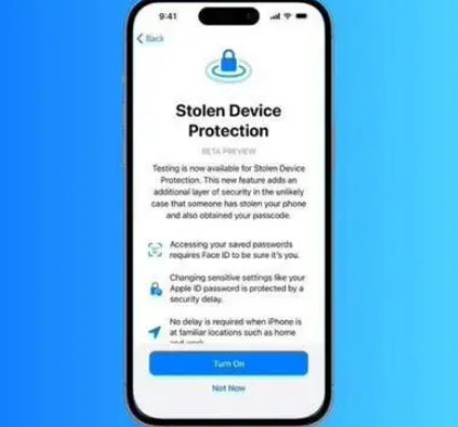 嘉黎苹果授权维修店分享被盗设备保护功能开启方法 