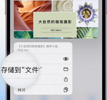 嘉黎apple维修中心分享iPhone文件应用中存储和找到下载文件