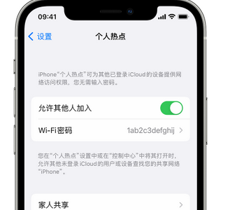 嘉黎apple服务站点分享iPhone上个人热点丢失了怎么办 