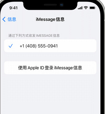 嘉黎apple维修iPhone上无法正常发送iMessage信息 