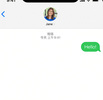 嘉黎apple维修iPhone上无法正常发送iMessage信息