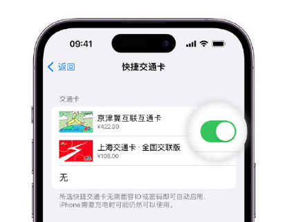 嘉黎apple维修点分享iPhone上更换Apple Pay快捷交通卡手绘卡面 