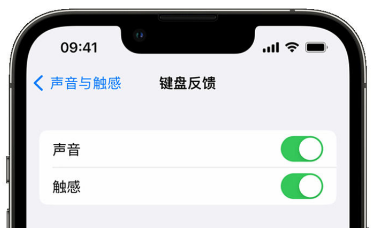 嘉黎苹果手机维修分享iPhone 14触感键盘使用方法 