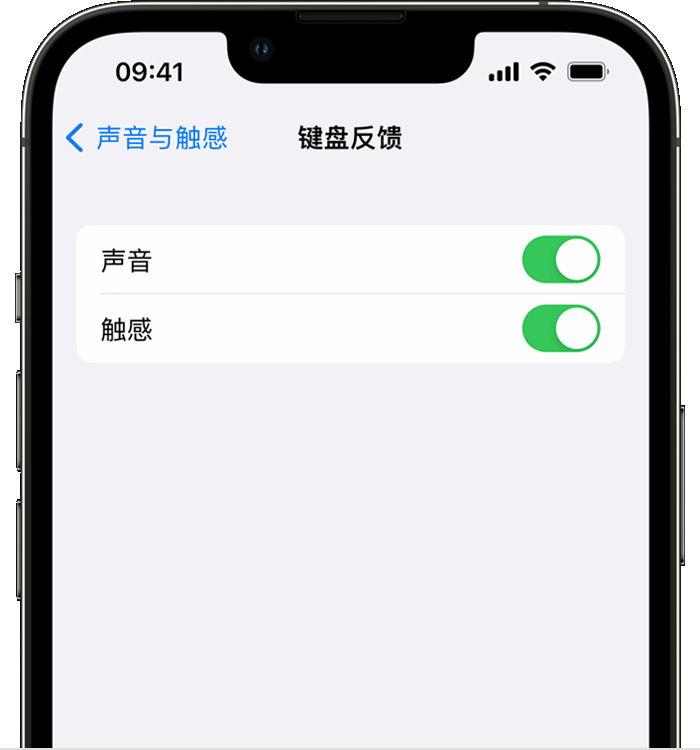 嘉黎苹果14维修店分享如何在 iPhone 14 机型中使用触感键盘 