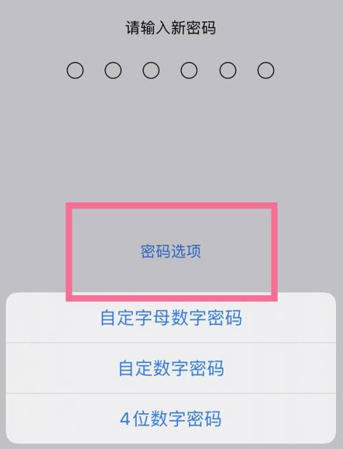 嘉黎苹果14维修分享iPhone 14plus设置密码的方法 