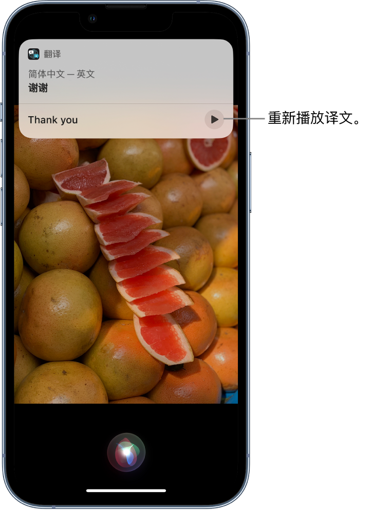 嘉黎苹果14维修分享 iPhone 14 机型中使用 Siri：了解 Siri 能帮你做什么 