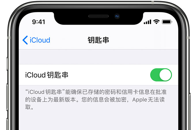 嘉黎苹果手机维修分享在 iPhone 上开启 iCloud 钥匙串之后会储存哪些信息 