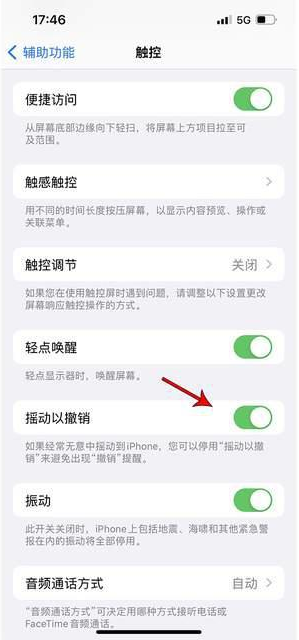 嘉黎苹果手机维修分享iPhone手机如何设置摇一摇删除文字 